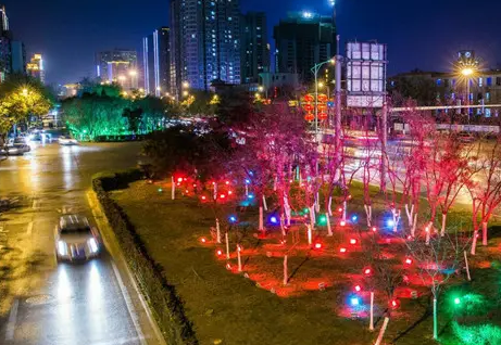 南充市政亮化向日葵视频色板下载製作施工安裝